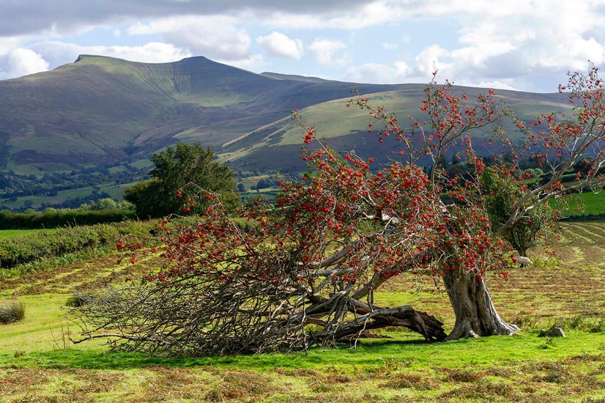 Picturesque 2 Bedroom Miners Cottage Near Bike Park Wales & Brecon Beacons 梅瑟蒂德菲尔 外观 照片